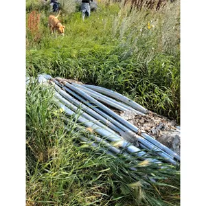 Frame Pipes Tarped Building