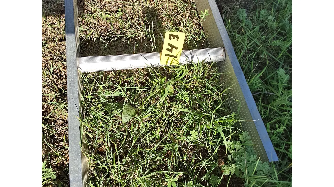 12' Aluminum Ladder