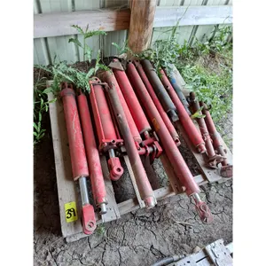 (13)Assorted Size Hydraulic Rams