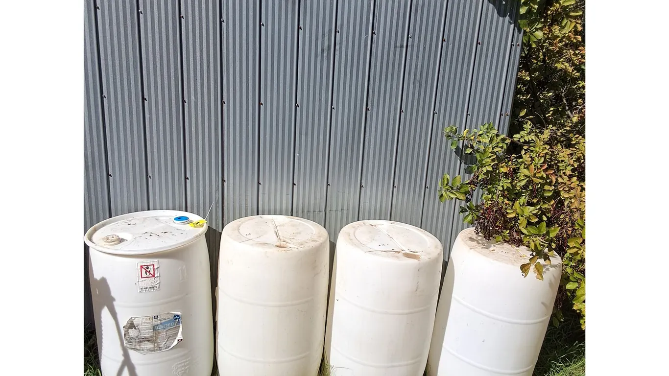 (4) White 208 Litre (55 US Gallon) Drums w/Lids