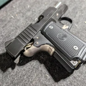 Para Ordnance WHX1045R Warthog Pistol