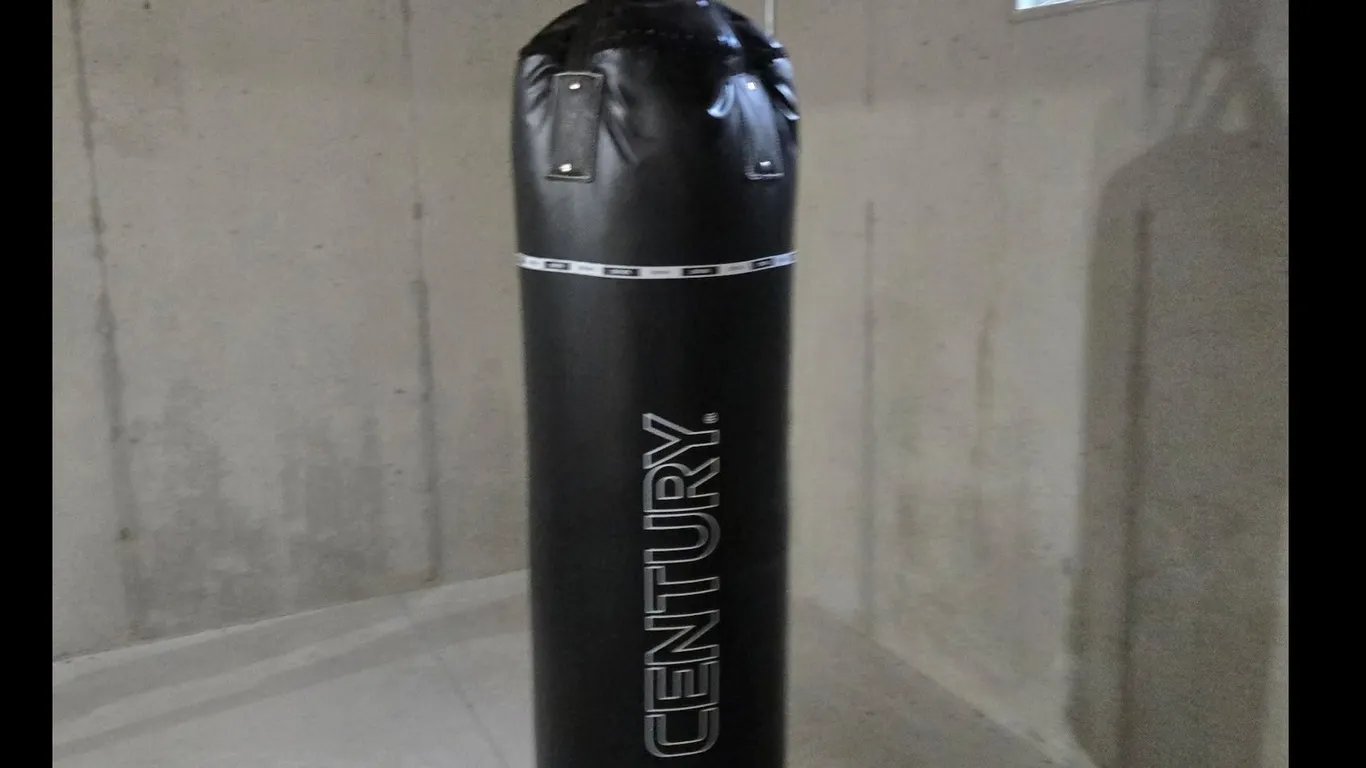 Century Punching Bag