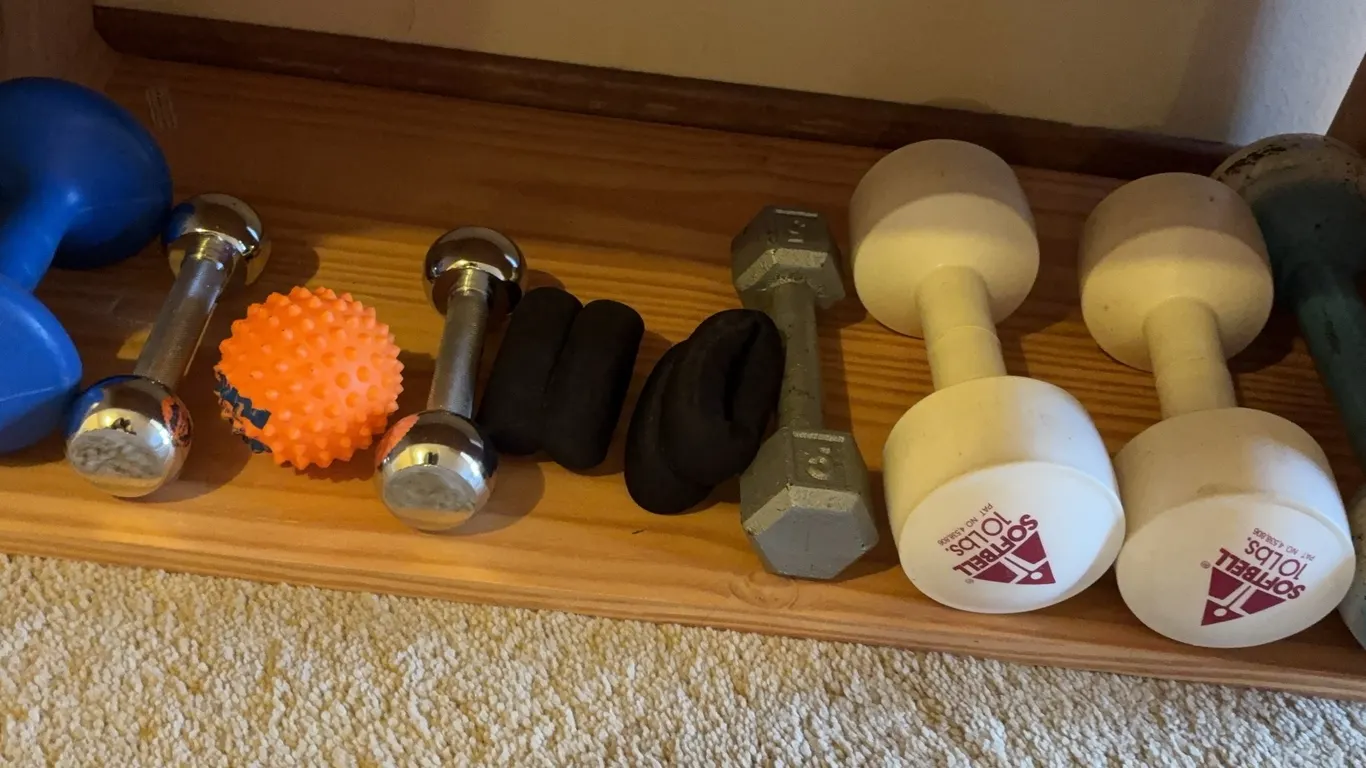 Assorted Dumbbells & Exercise Equipment Lot