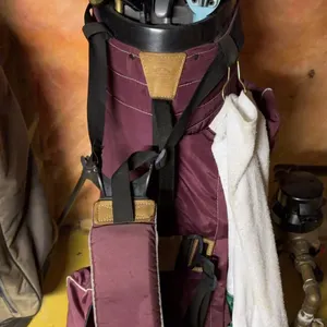 Golf Clubs & Carry Bag Lot