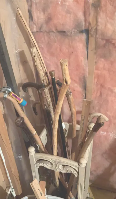 Decorative Walking Sticks & Cane Collection