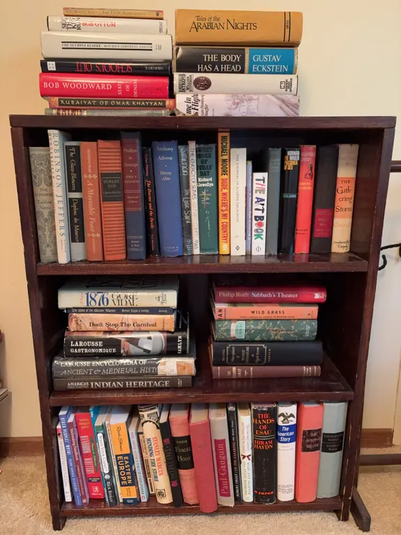 Large Assorted Book Lot