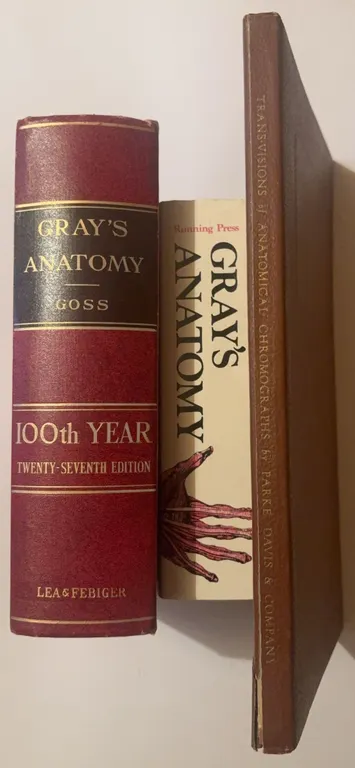 Vintage Gray's Anatomy Collection