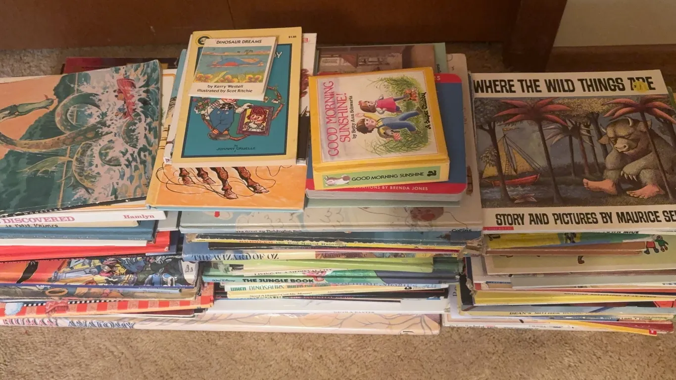 Children's Picture Book Collection