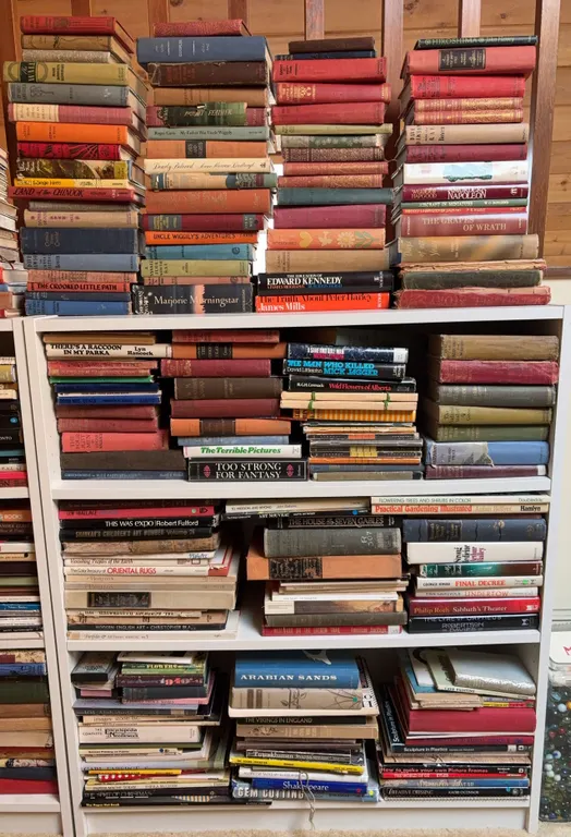 Large Mixed Book Collection Vintage Fiction Nonfiction Reference Lot