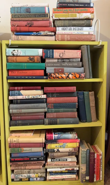 Vintage Literary Book Collection Classics & Modern Fiction
