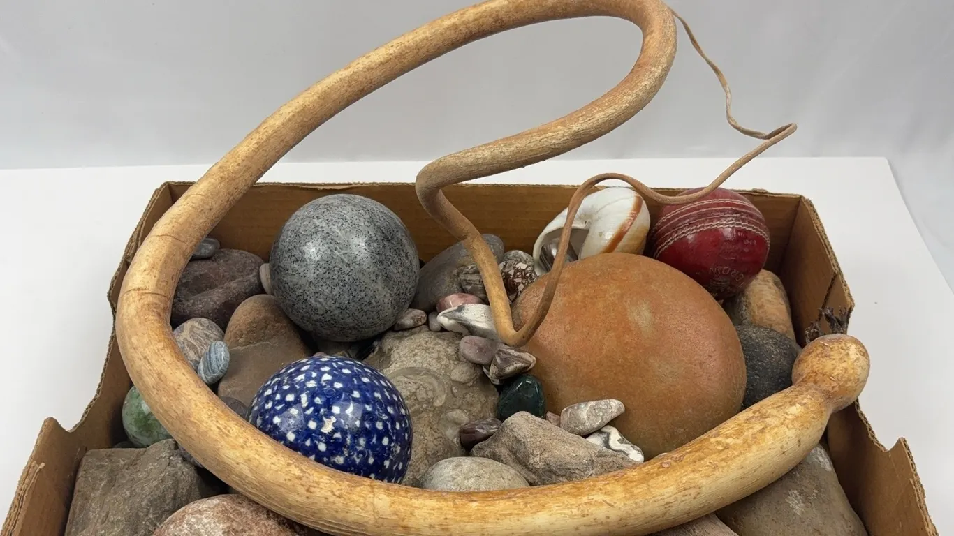 Collector's Rock & Fossil Lot