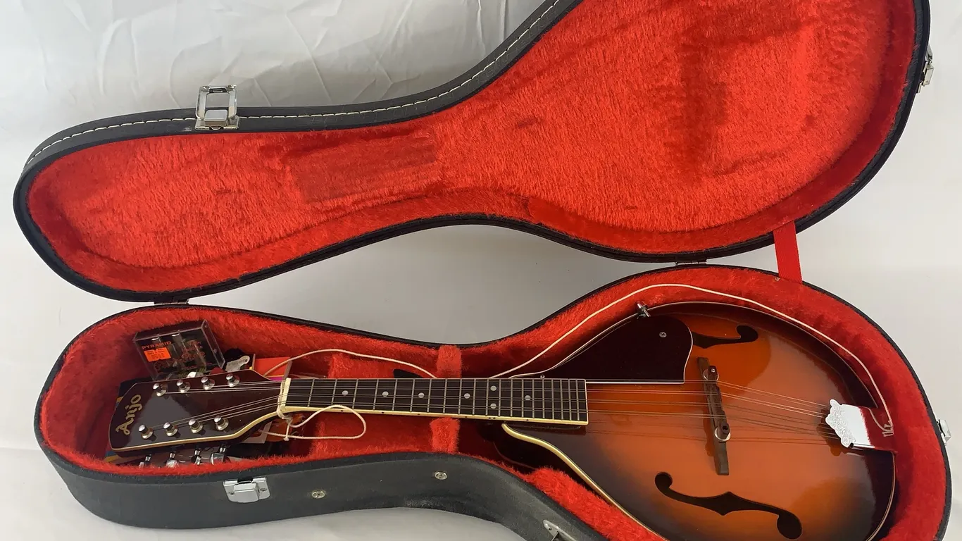 Anjo Mandolin with Hard Shell Case