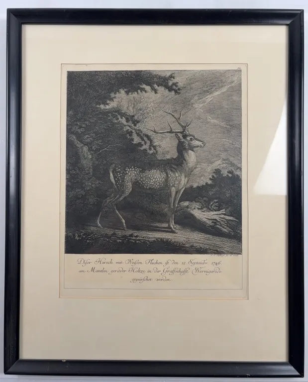 Framed Antique German Hunting Engraving of Stag Deer, Dated 1746