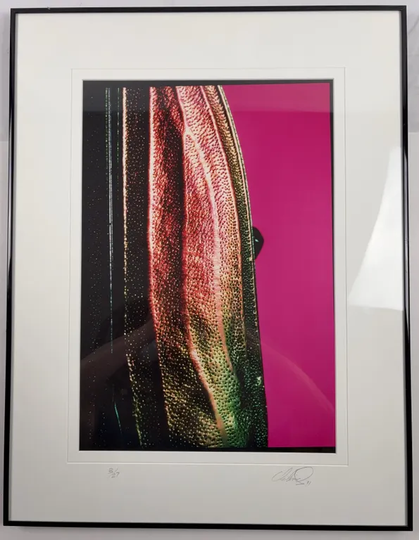 Signed Limited Edition Abstract Color Photograph Print (3/27), Dated 1991, Framed