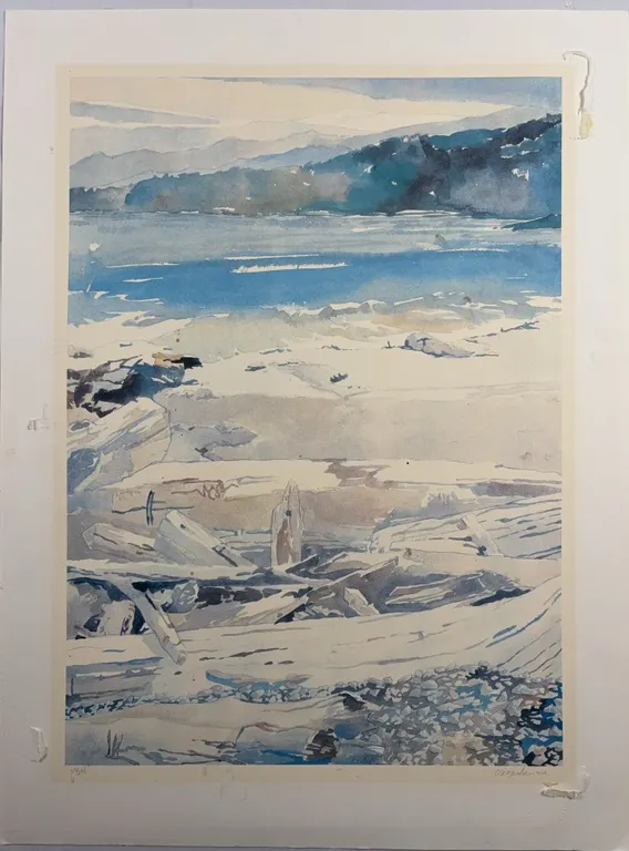 Coastal Driftwood Beach Landscape Limited Edition Print (112/295), Signed