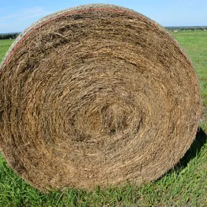58 Mixed Hay Round Bales *BID PRICE PER BALE* Located Offsite 20mins South of Barrhead, Call 780-967-2573 *Buyer Responsible for Loading and Hauling* 