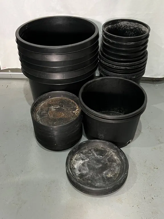 Plant Pots