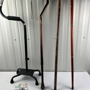 Canes & Walking Sticks