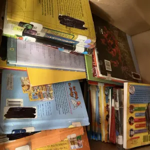 (340) Assorted Library Books
