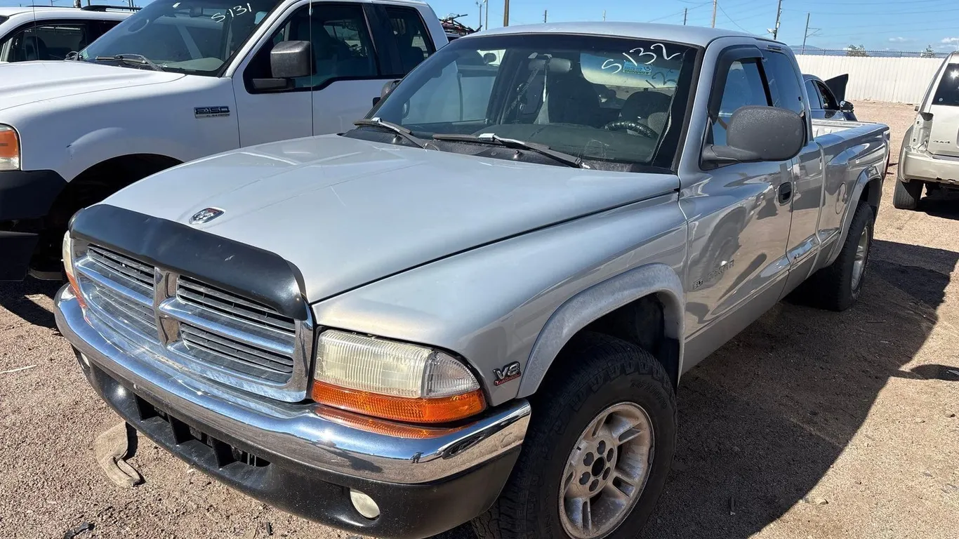 1999 DODG DAKOTA PK 1B7GL22Y1XS222081