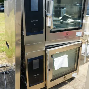 Electrolux Double Professional Oven