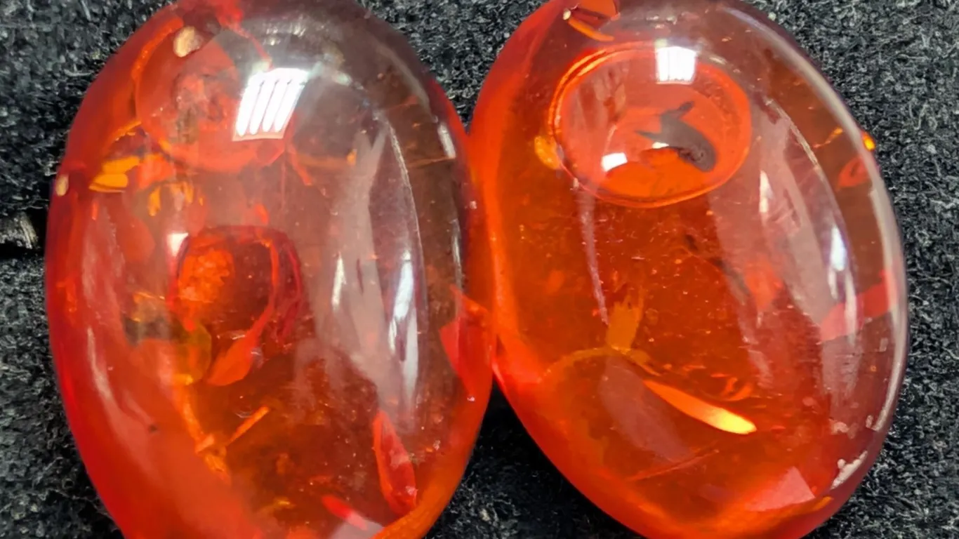SILVER(2.12G), AMBER EARRING