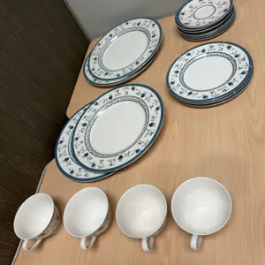 Royal Doulton Cambridge English Translucent China Dinnerware Set, Doulton & Co.