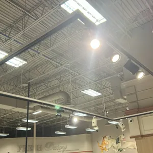 Suspended track lighting system. Includes ceiling-suspended linear track layout with multiple adjustable track lighting spotlight fixtures in black an
