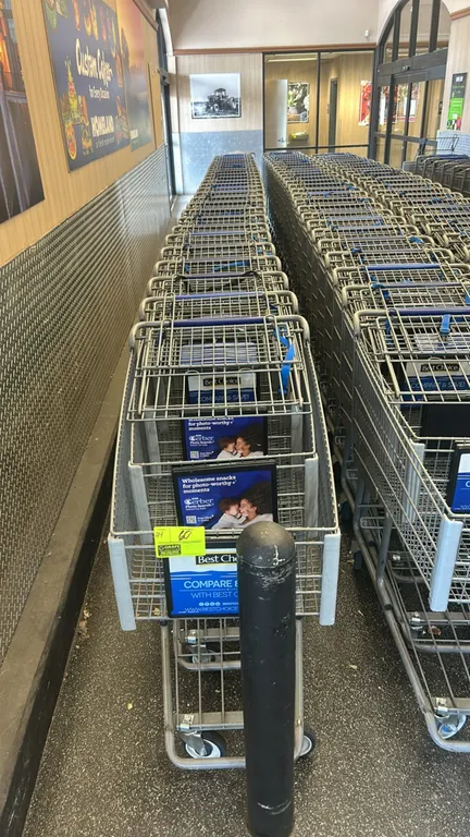 Metal wire shopping carts. Features folding child seat with safety strap, front advertising sign frame, bottom wire tray, blue plastic handle wrap, an
