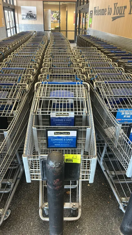 Metal wire shopping carts. Features folding child seat with safety strap, lower wire rack, front corner bumpers, and front placard holder. Mounted on