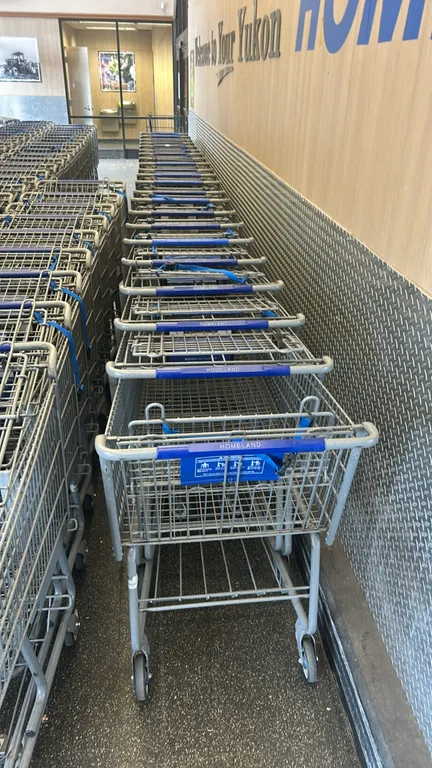 Metal wire shopping carts. Features folding child seat with safety strap, blue plastic handle, lower wire storage rack, corner bumpers, and nesting de