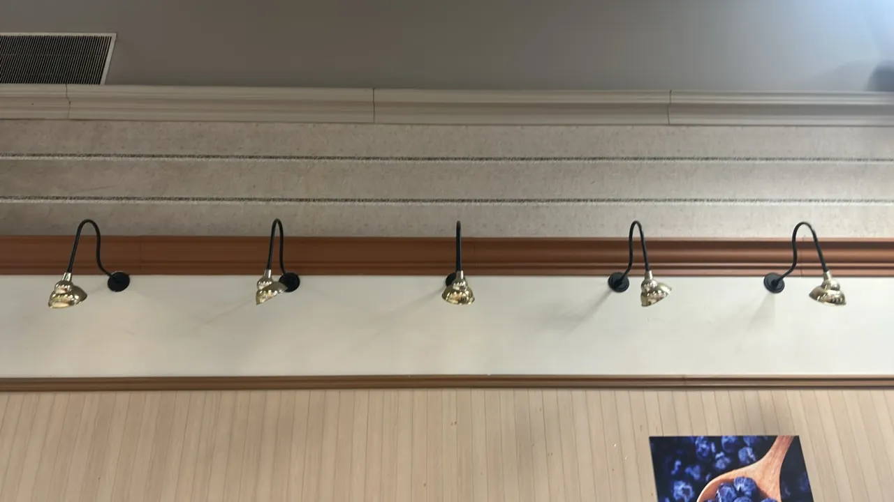 Metal wall-mounted gooseneck light fixtures. Features black curved gooseneck arms, round wall-mounting bases, and polished brass-tone metal shades.
