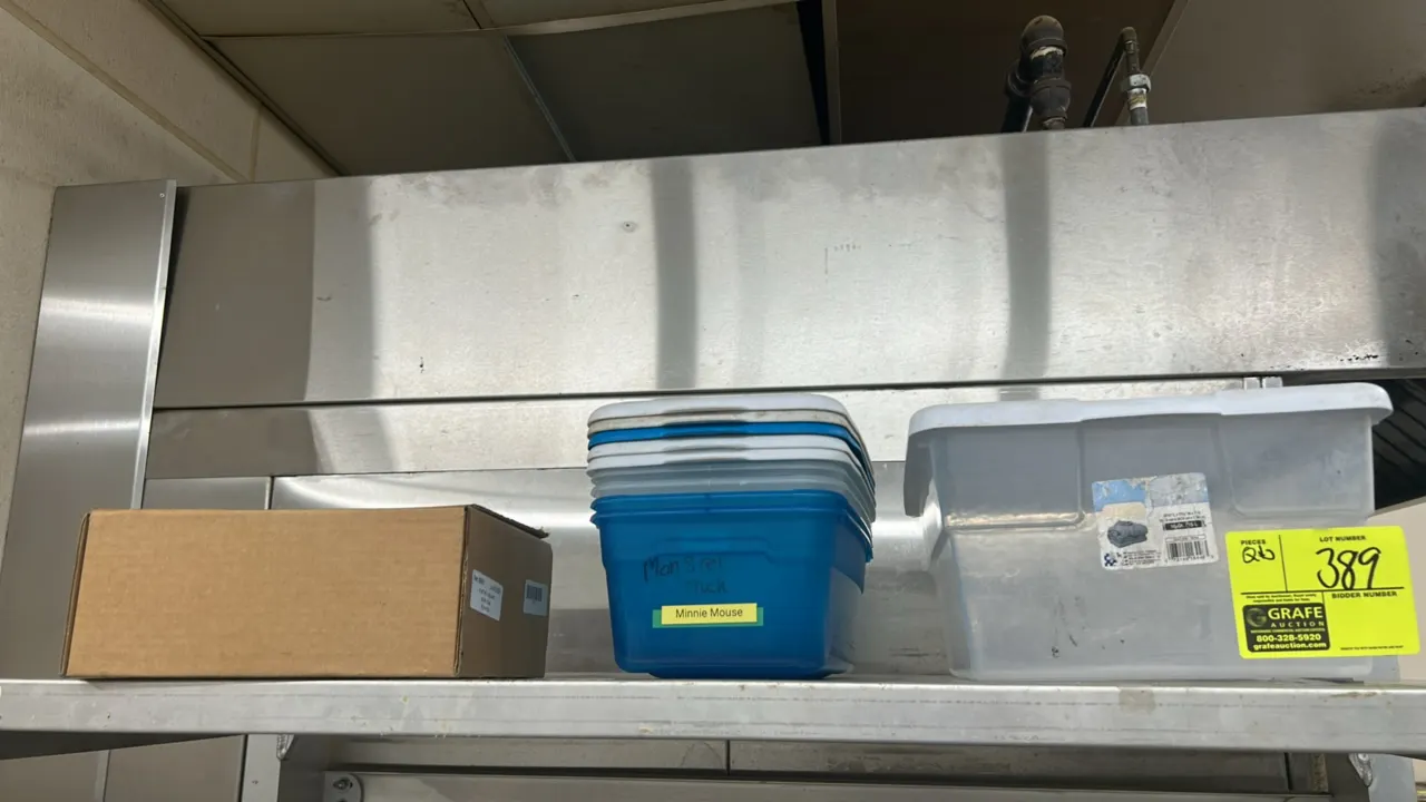 Assorted plastic storage containers and poly collars. Includes clear plastic storage tote with lid, stack of blue plastic containers with lids, and a