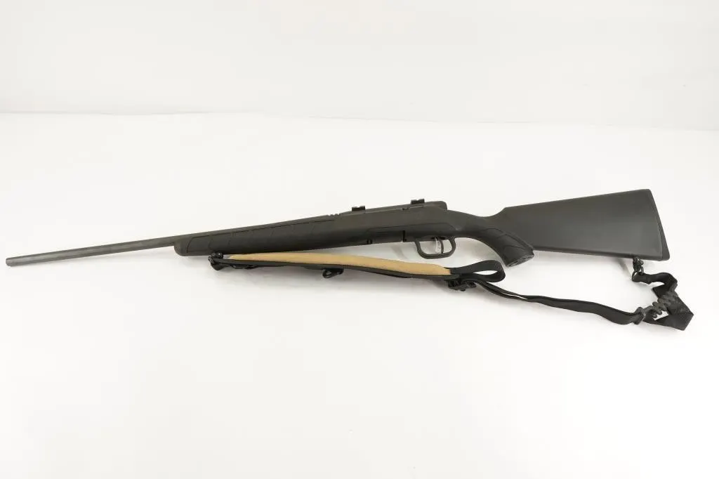 Savage BMag .17 HMR