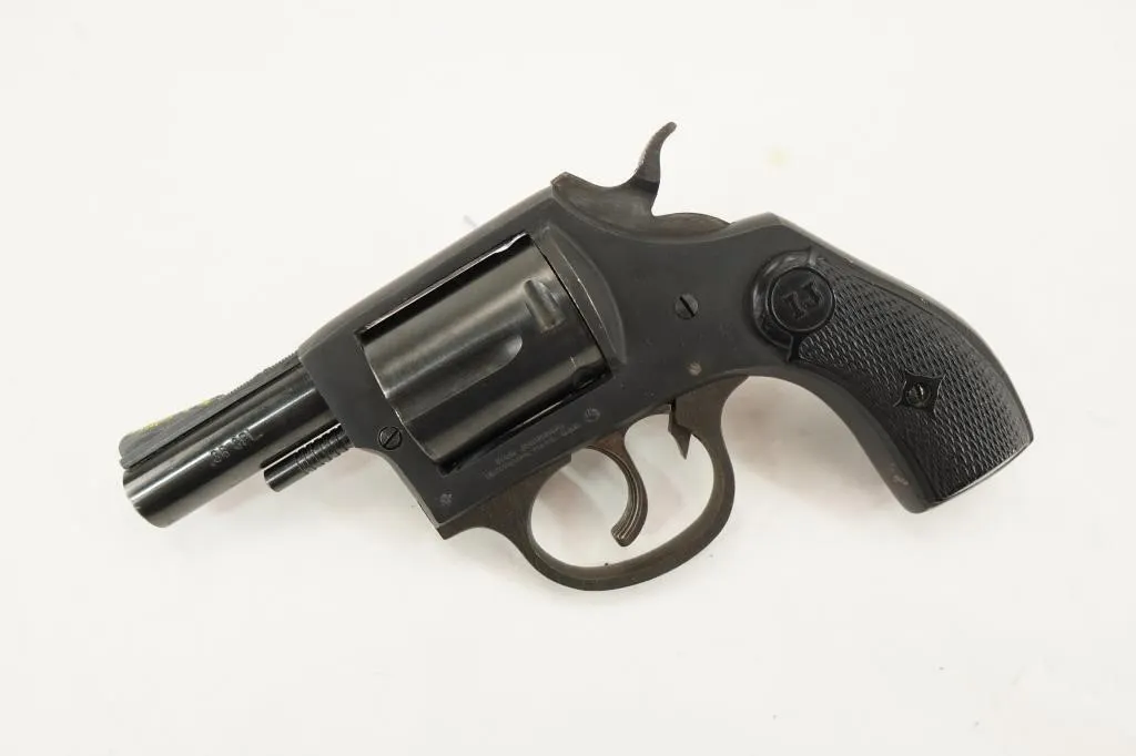 Iver Johnson New American Bulldog 38
