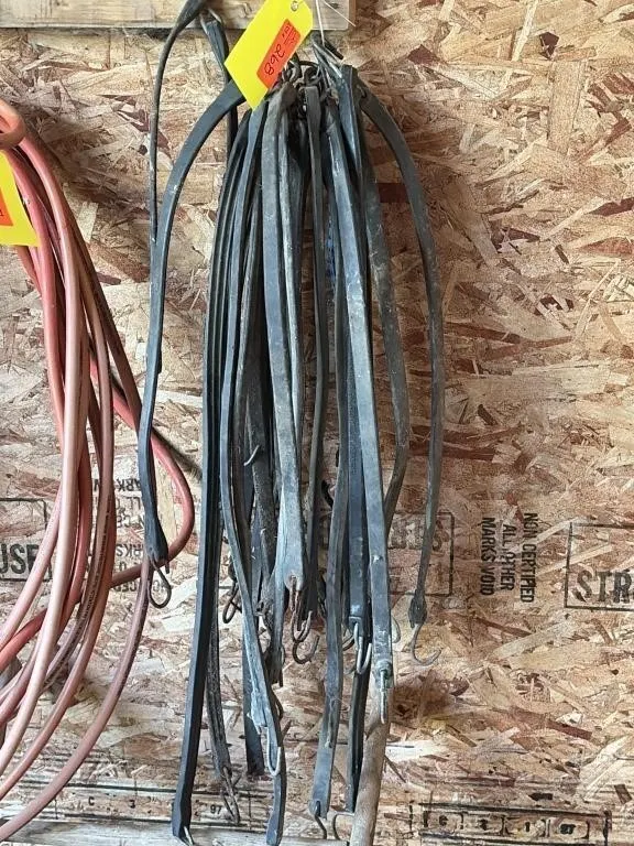 Bungee Cords