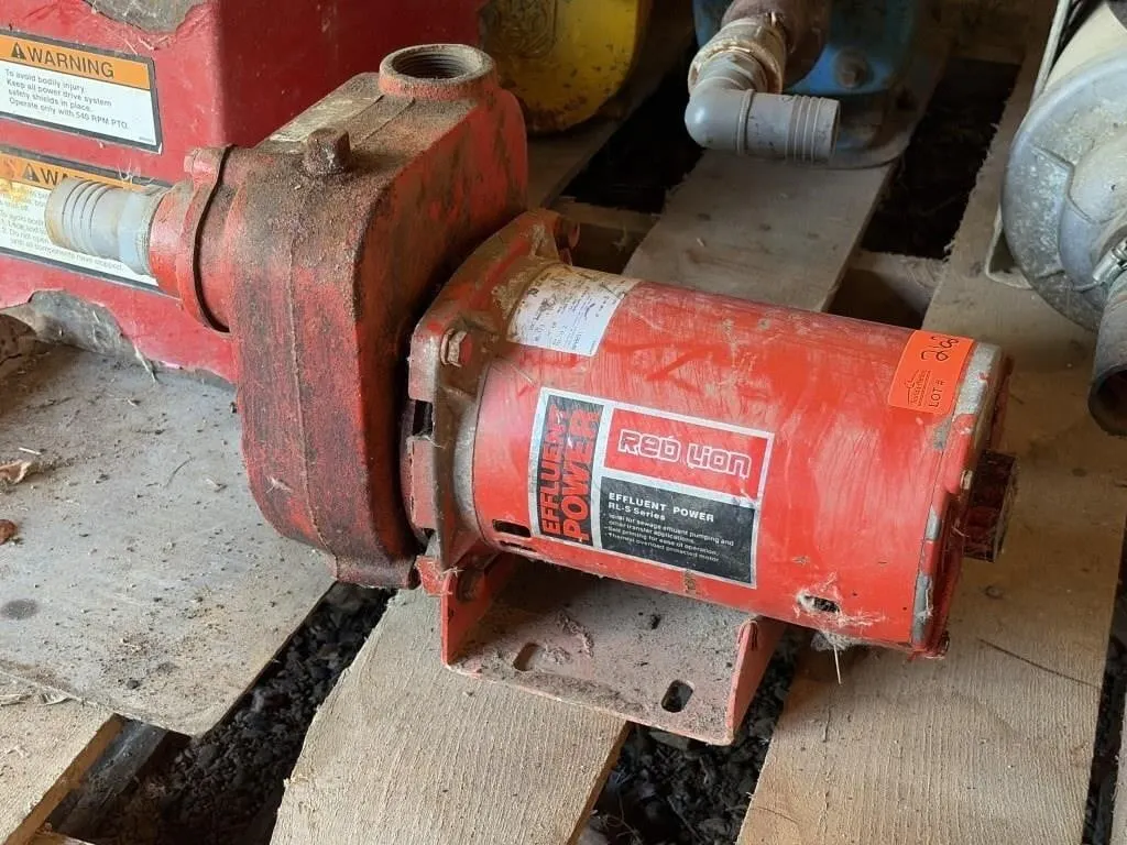 Red Lion RL-S50 Cast Iron Surface Effluent Pump