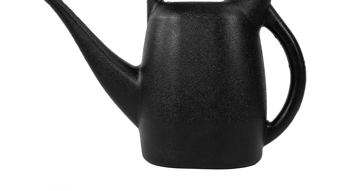 CHAPIN 0.5-Gallon Poly Watering Can Black