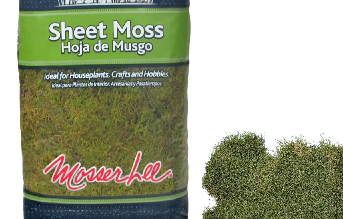 Mosser Lee Natural Green Sheet Moss 520 cu. in.