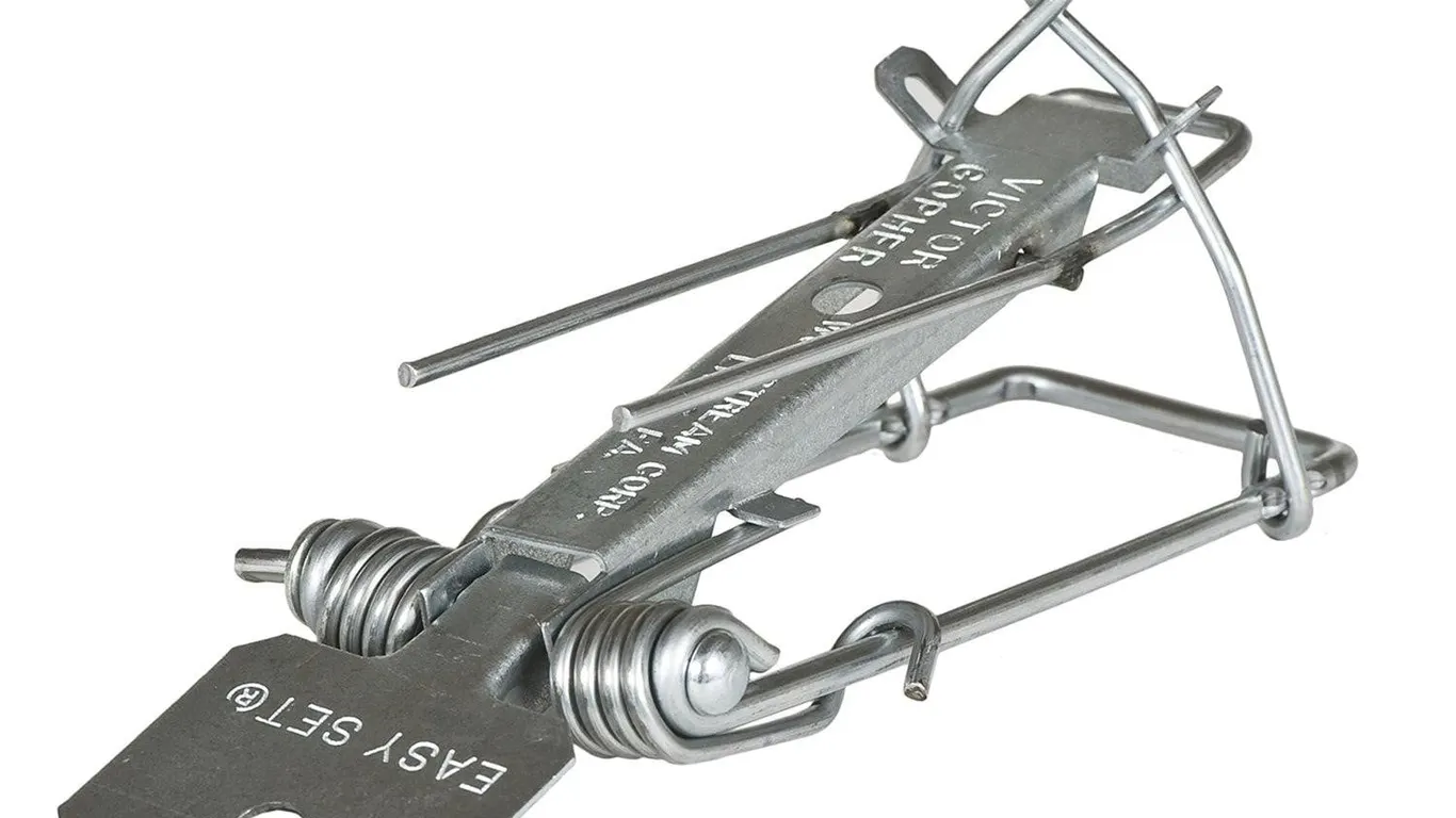 Victor Gopher Trap 2-Pack Silver