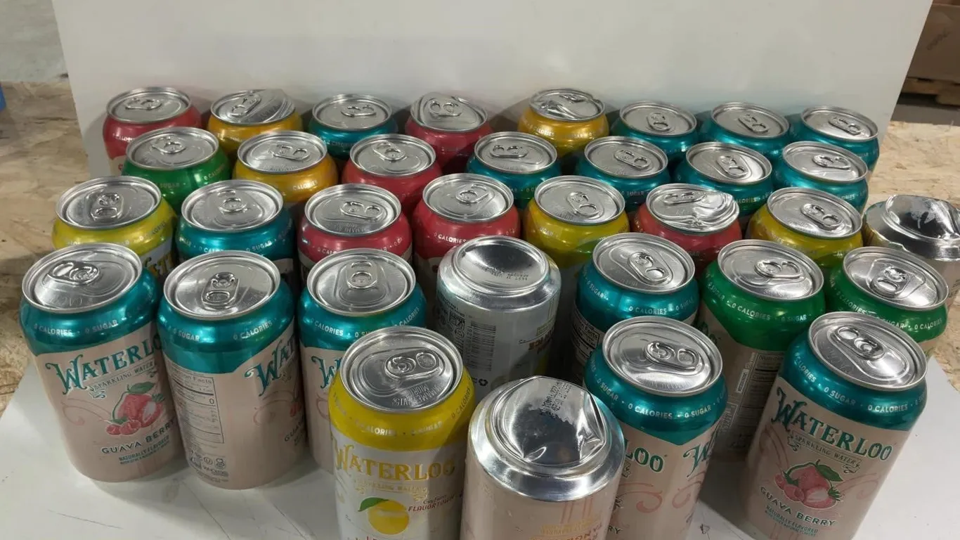 Waterloo Sparkling Water Assorted Flavors