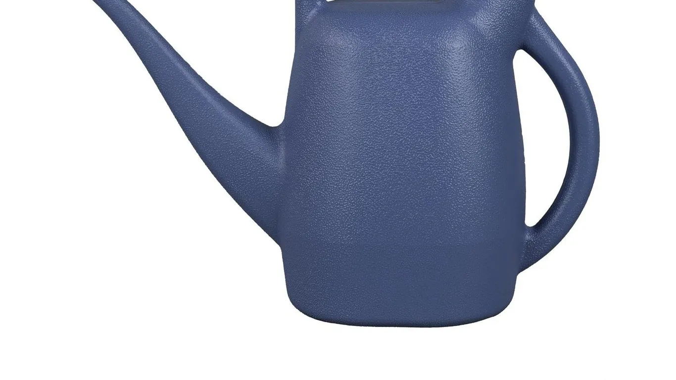 CHAPIN Watering Can 0.5-Gallon Blue