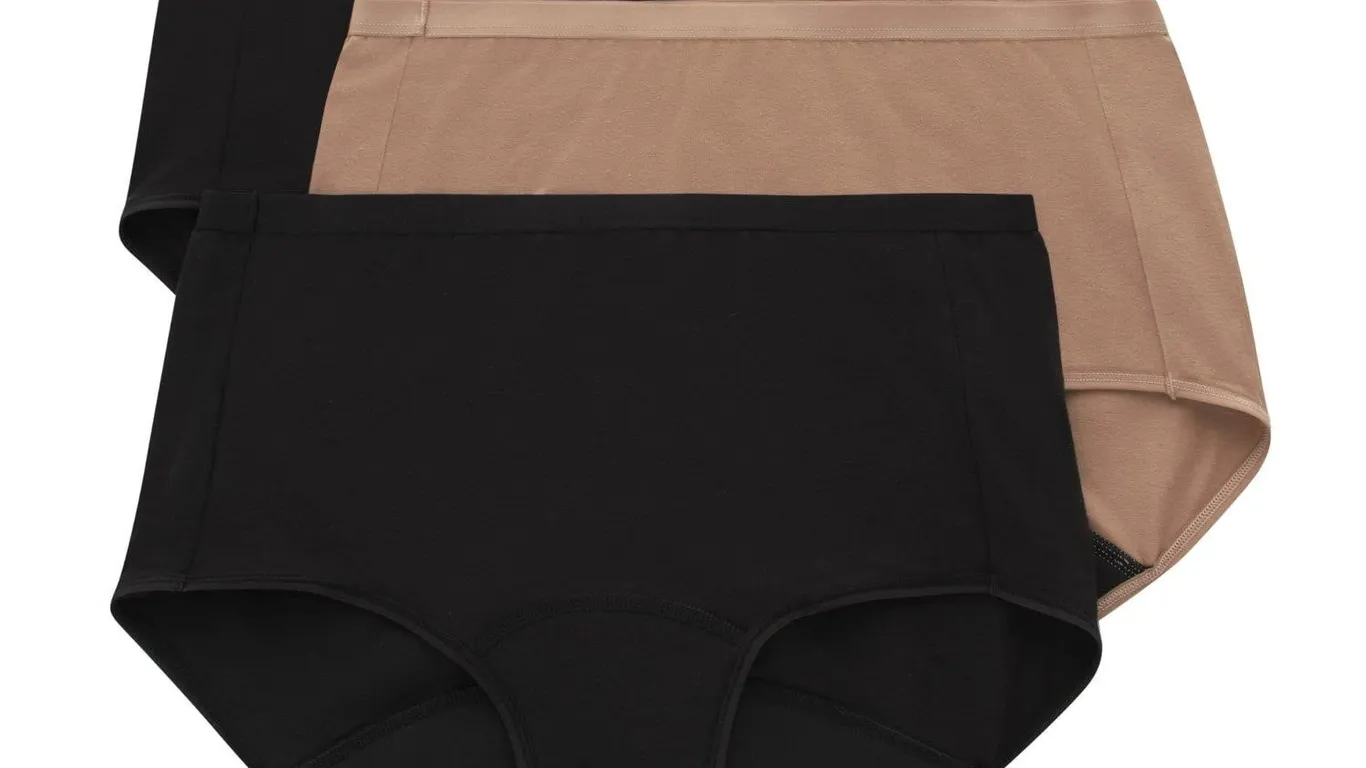 Hanes Period Briefs XL 3pk Super Leak Protection