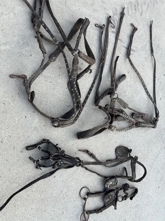 Light horse harness fie decoration or parts