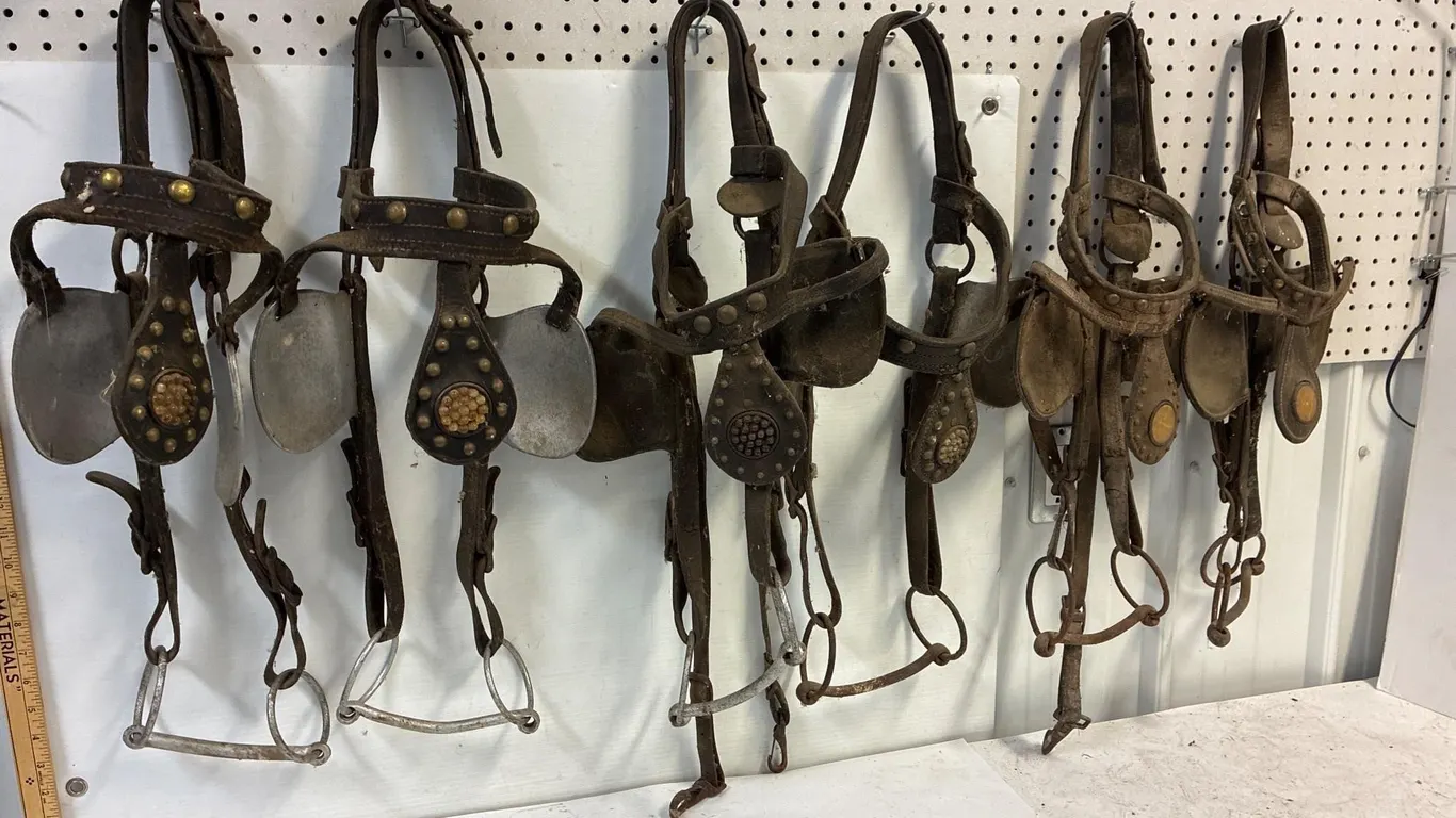 Decorative blinders. To Display. Or Restore