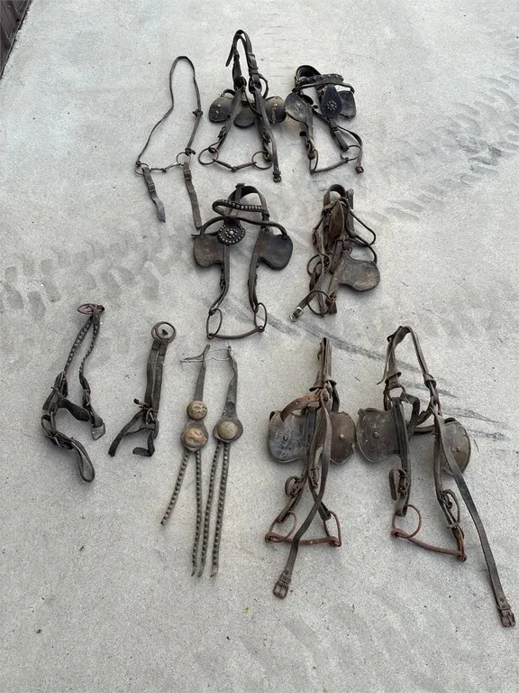 Blinders. Bits. Tack. For decorating or for parts.
