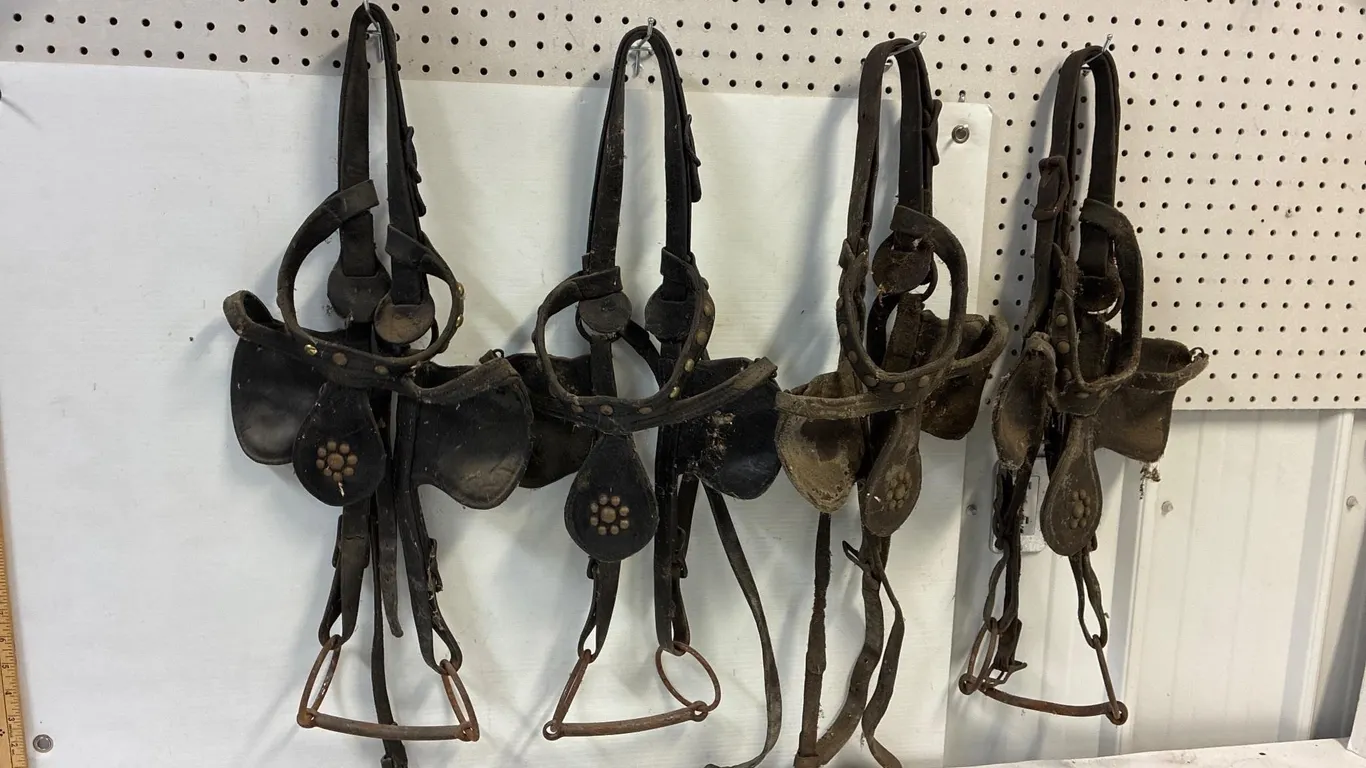 Blinders. With some life in the yet