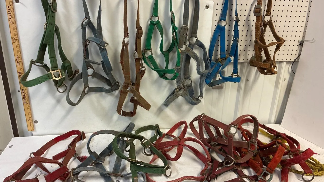 15 nylon halters. Most are fairly decent.