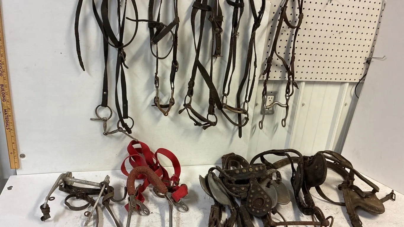 Bits and blinders. Assorted
