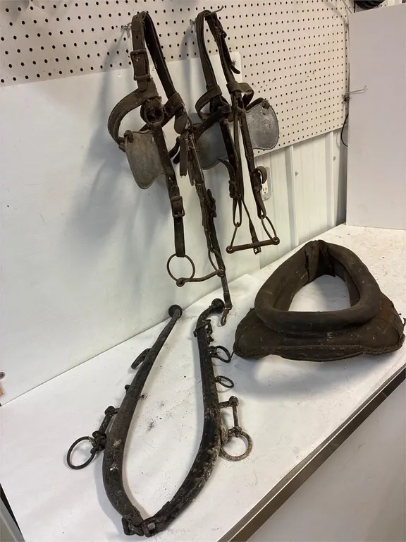 Decorating package. Collar. Hames. Blinders